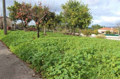 Terreno Rústico com Viabilidade de Construção para Venda em Pedra do Altar