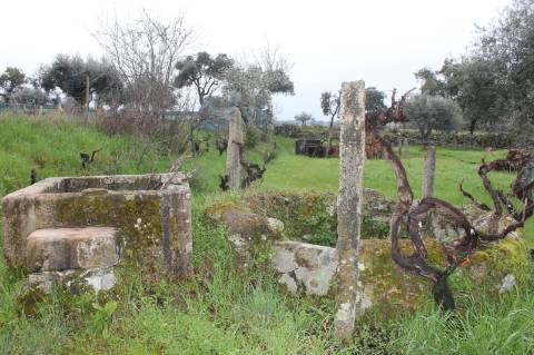 Terreno Rústico para Venda em Escalos de Cima.