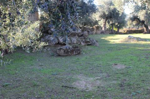 Terreno Urbano com 850m2 de área