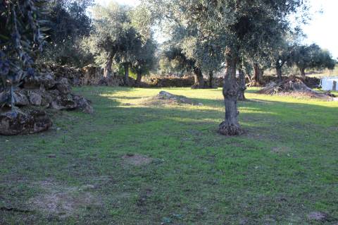 Terreno Urbano com 850m2 de área