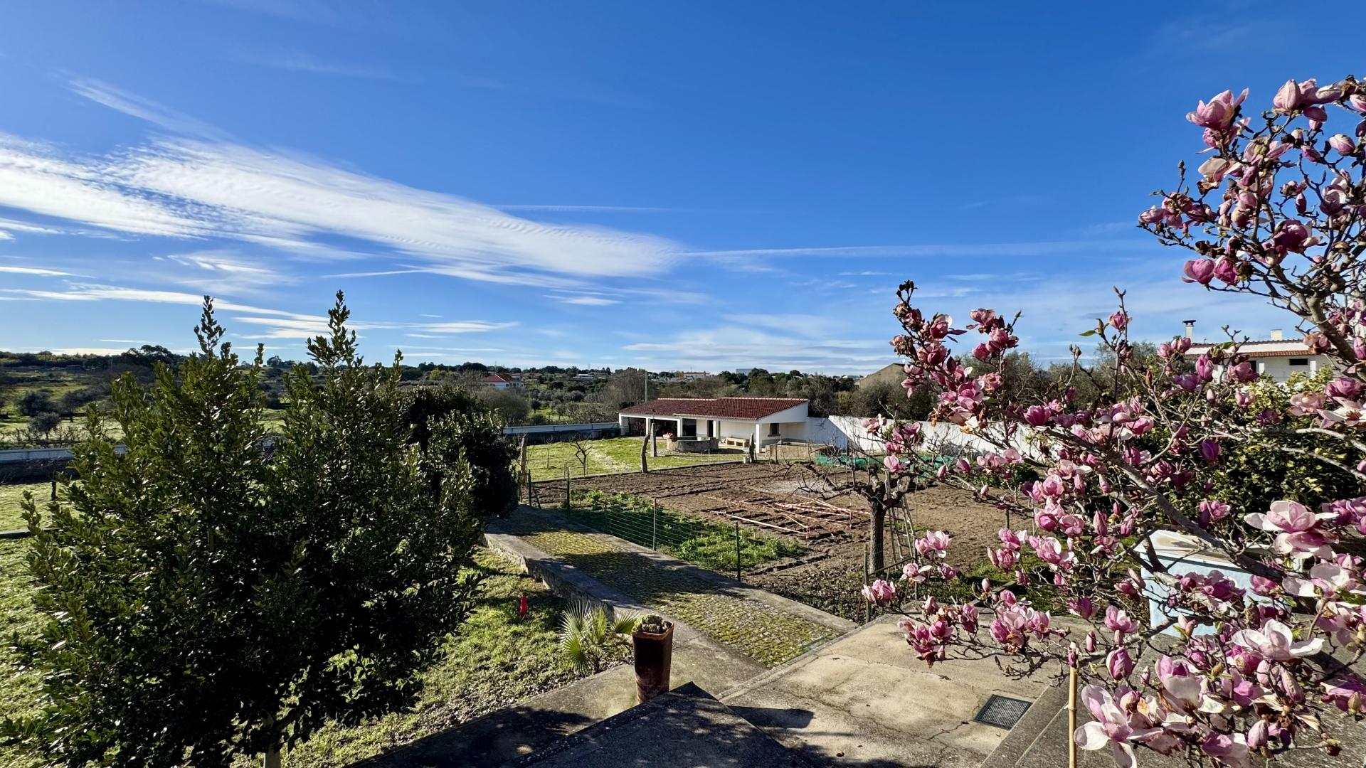 Moradia T5 e Terreno com 5000m2