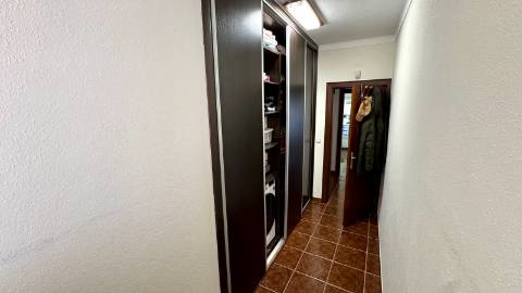 Moradia T5 e Terreno com 5000m2