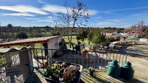 Moradia T5 e Terreno com 5000m2