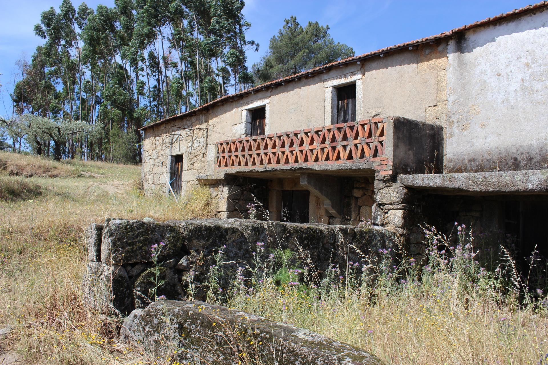 Quinta com 2,5 hectares