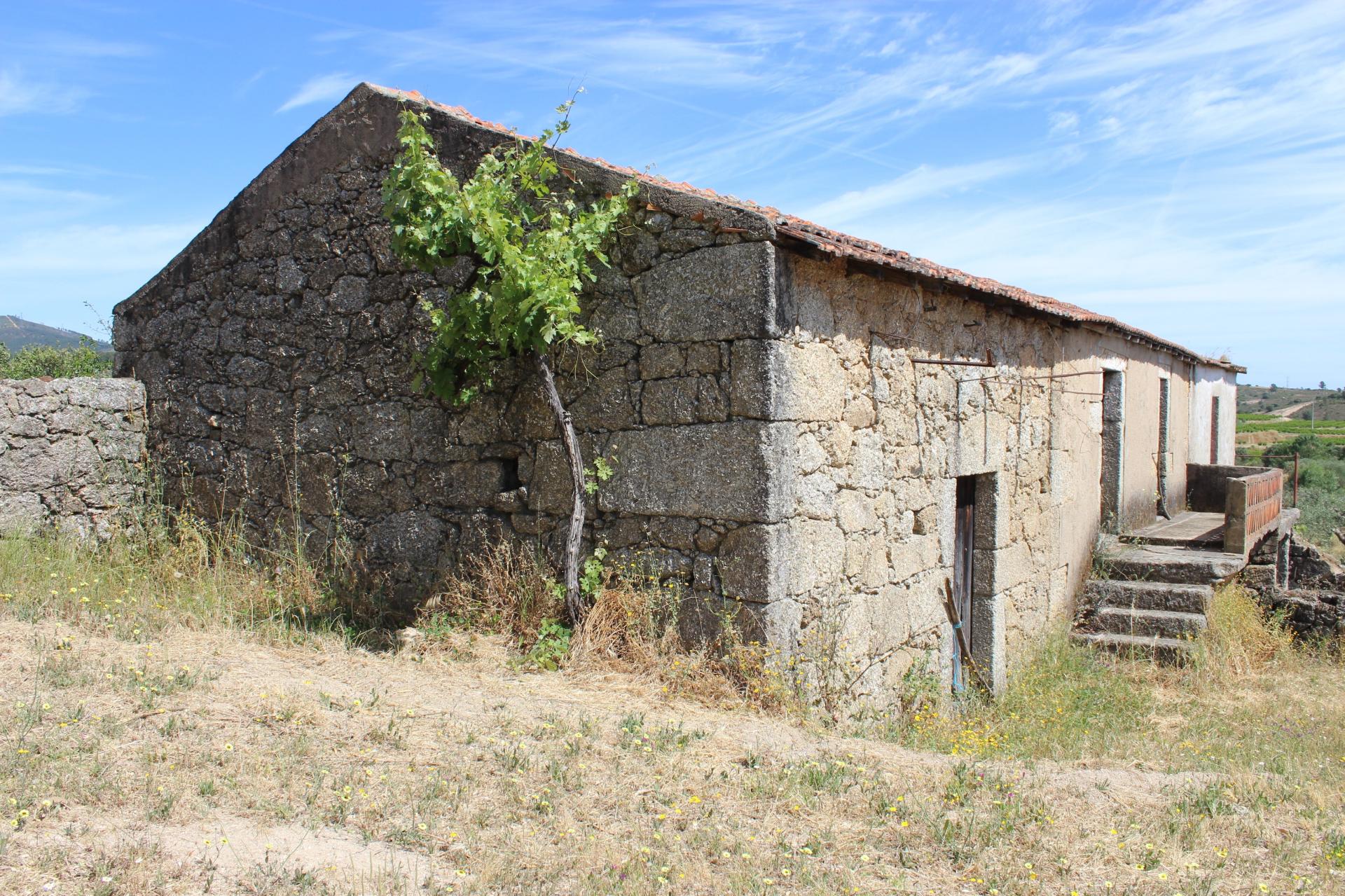 Quinta com 2,5 hectares