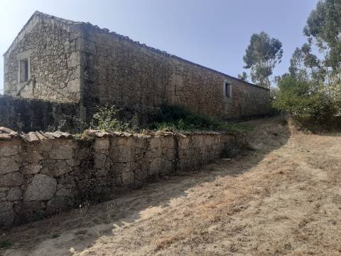 Quinta com 2,5 hectares