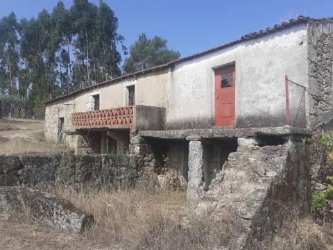 Quinta com 2,5 hectares