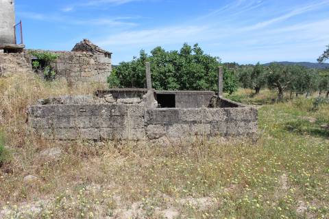 Quinta com 2,5 hectares