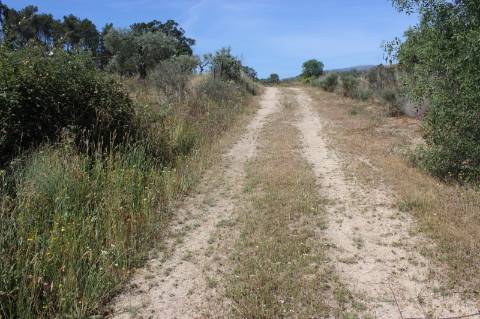 Quinta com 2,5 hectares