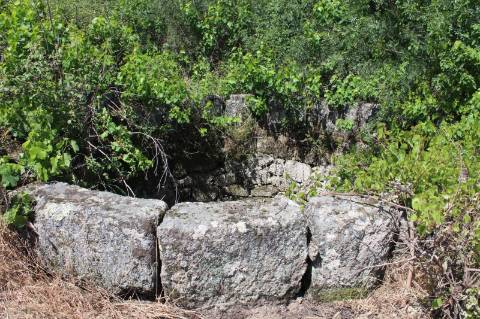 Quinta com 2,5 hectares