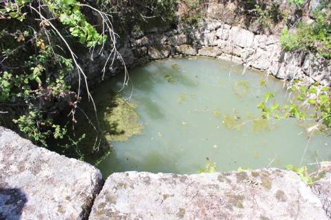 Quinta com 2,5 hectares