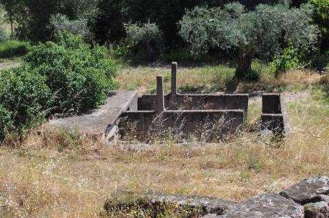 Quinta com 2,5 hectares