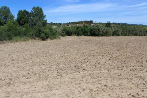 Quinta com 2,5 hectares