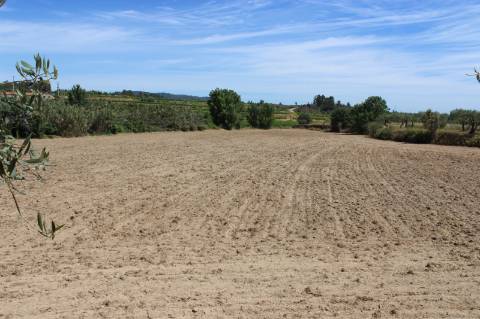 Quinta com 2,5 hectares