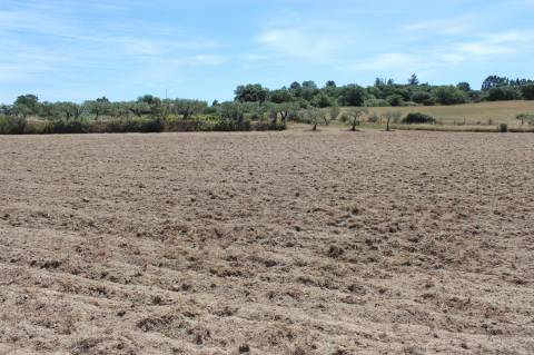 Quinta com 2,5 hectares