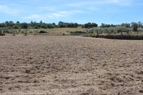 Quinta com 2,5 hectares