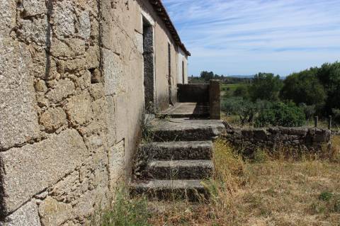 Quinta com 2,5 hectares