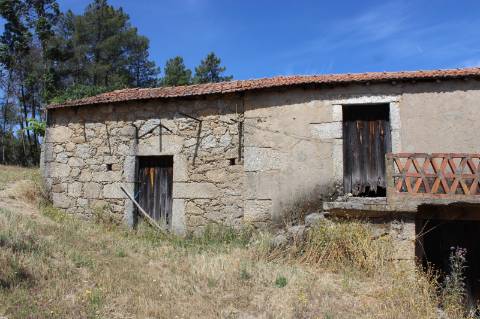 Quinta com 2,5 hectares