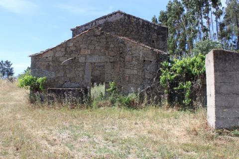 Quinta com 2,5 hectares