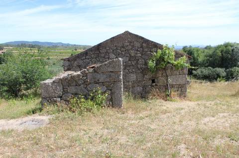 Quinta com 2,5 hectares