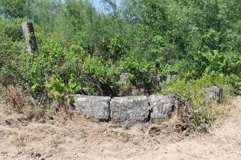 Quinta com 2,5 hectares