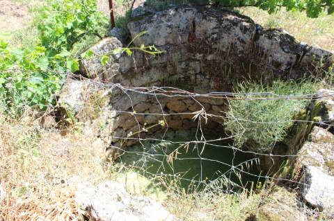 Quinta com 2,5 hectares