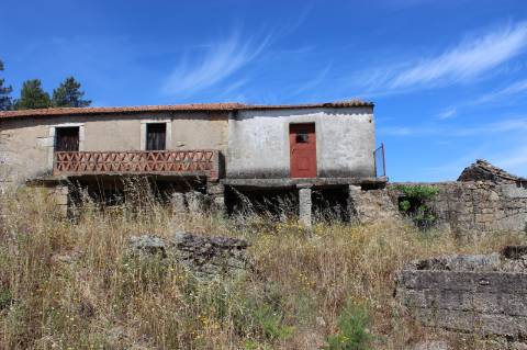 Quinta com 2,5 hectares