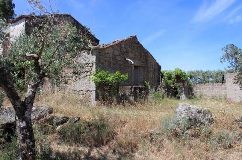 Quinta com 2,5 hectares