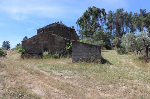 Quinta com 2,5 hectares