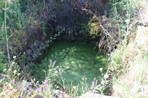 Quinta com 2,5 hectares