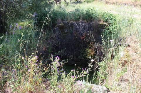 Quinta com 2,5 hectares