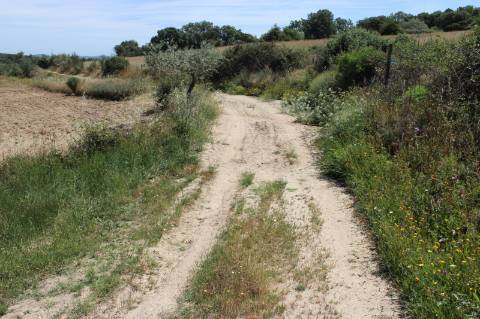 Quinta com 2,5 hectares