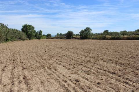 Quinta com 2,5 hectares