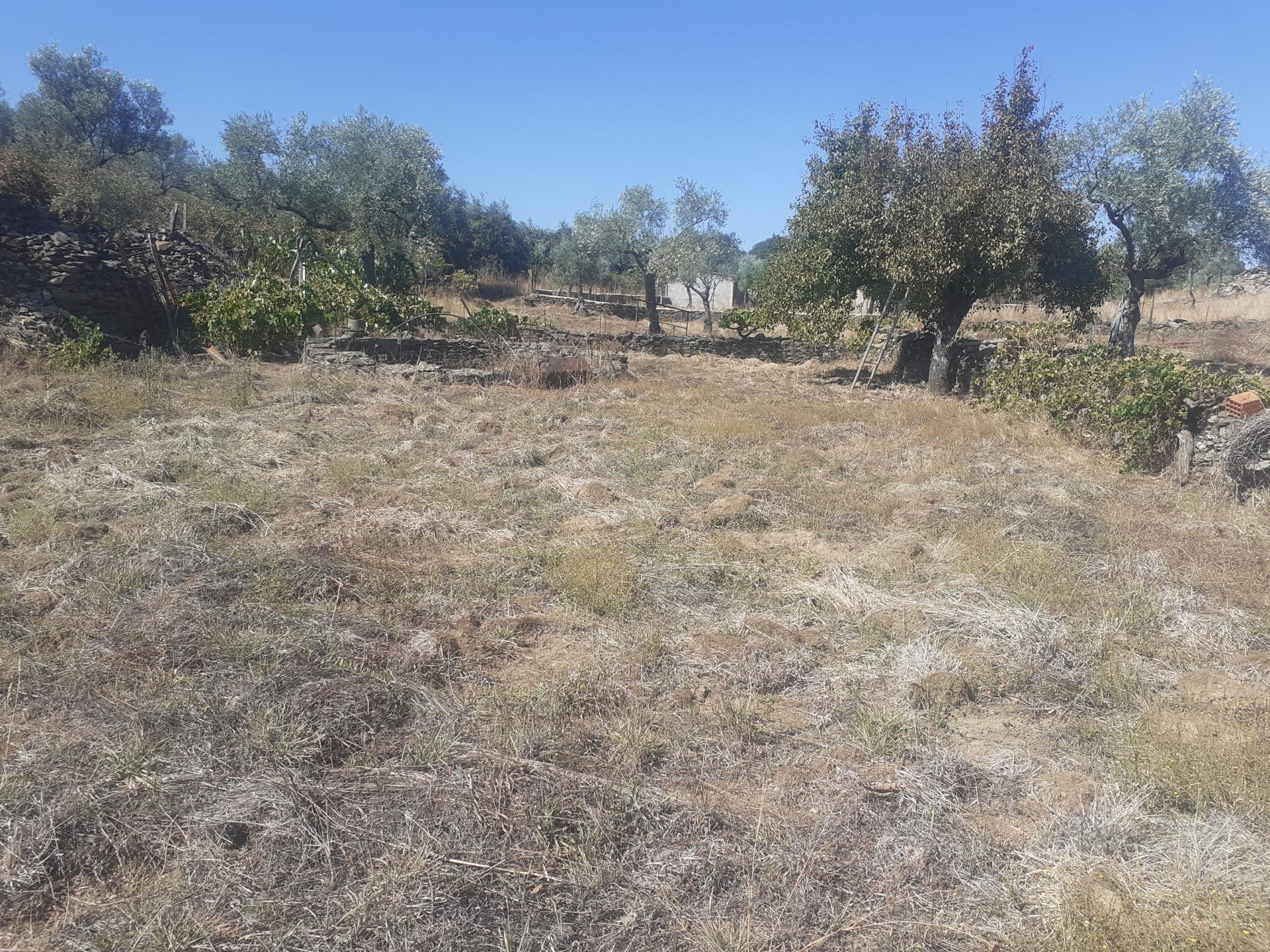 Terreno Rústico com 7500m2 de área