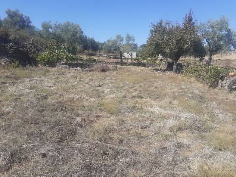 Terreno Rústico com 7500m2 de área