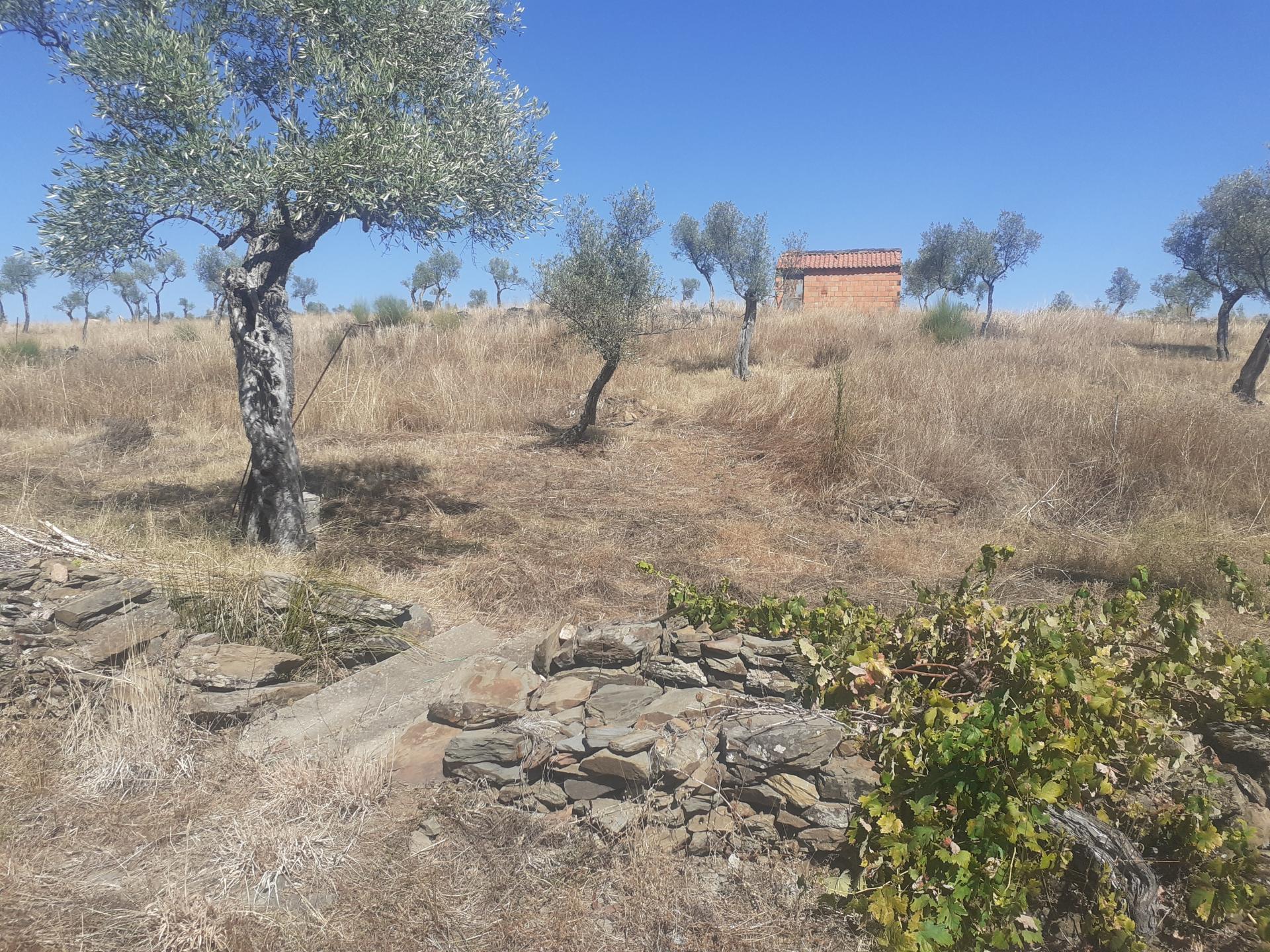 Terreno Rústico com 7500m2 de área