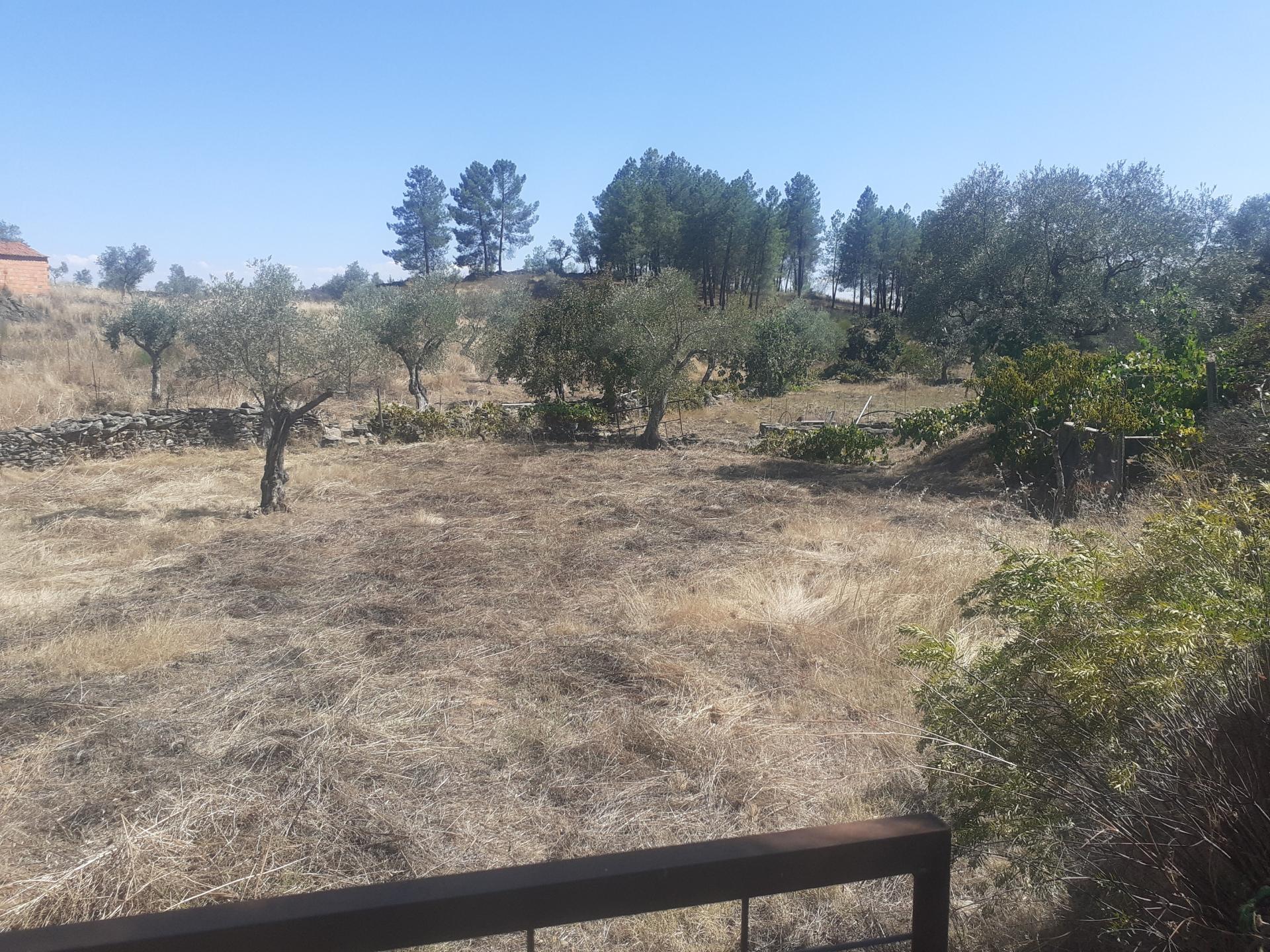 Terreno Rústico com 7500m2 de área