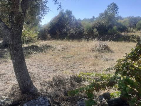 Terreno Rústico com 7500m2 de área