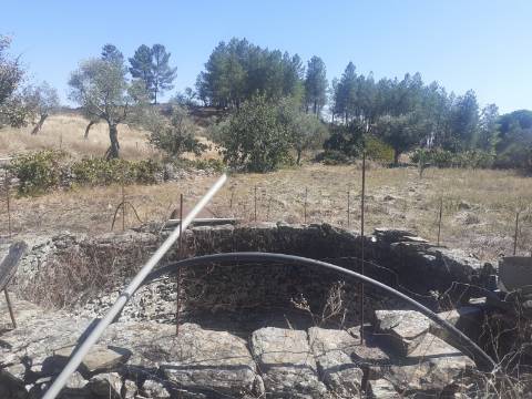 Terreno Rústico com 7500m2 de área