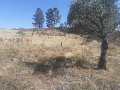 Terreno Rústico com 7500m2 de área