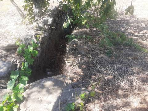 Terreno Rústico com 7500m2 de área