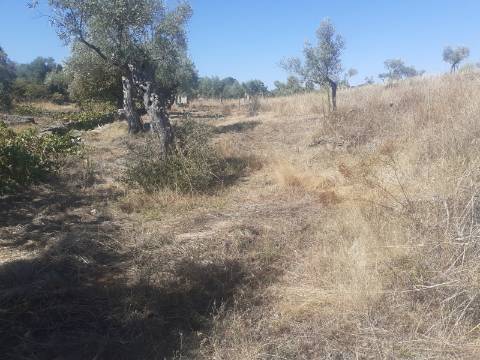 Terreno Rústico com 7500m2 de área