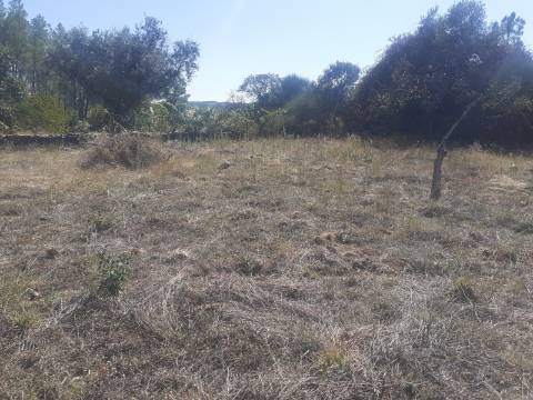 Terreno Rústico com 7500m2 de área