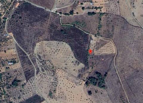 Terreno Rústico com 7500m2 de área