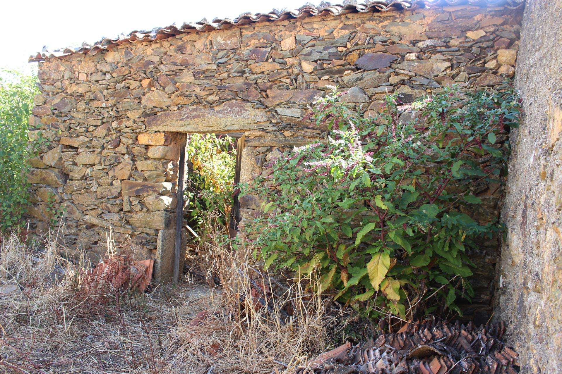 Terreno Urbano com Ruina