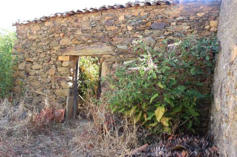 Terreno Urbano com Ruina