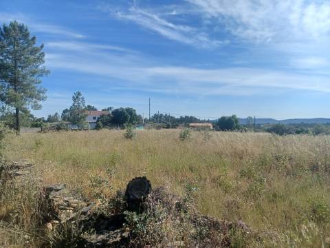 Terreno rústico com 8.160m2 em Sarnadas de Ródão