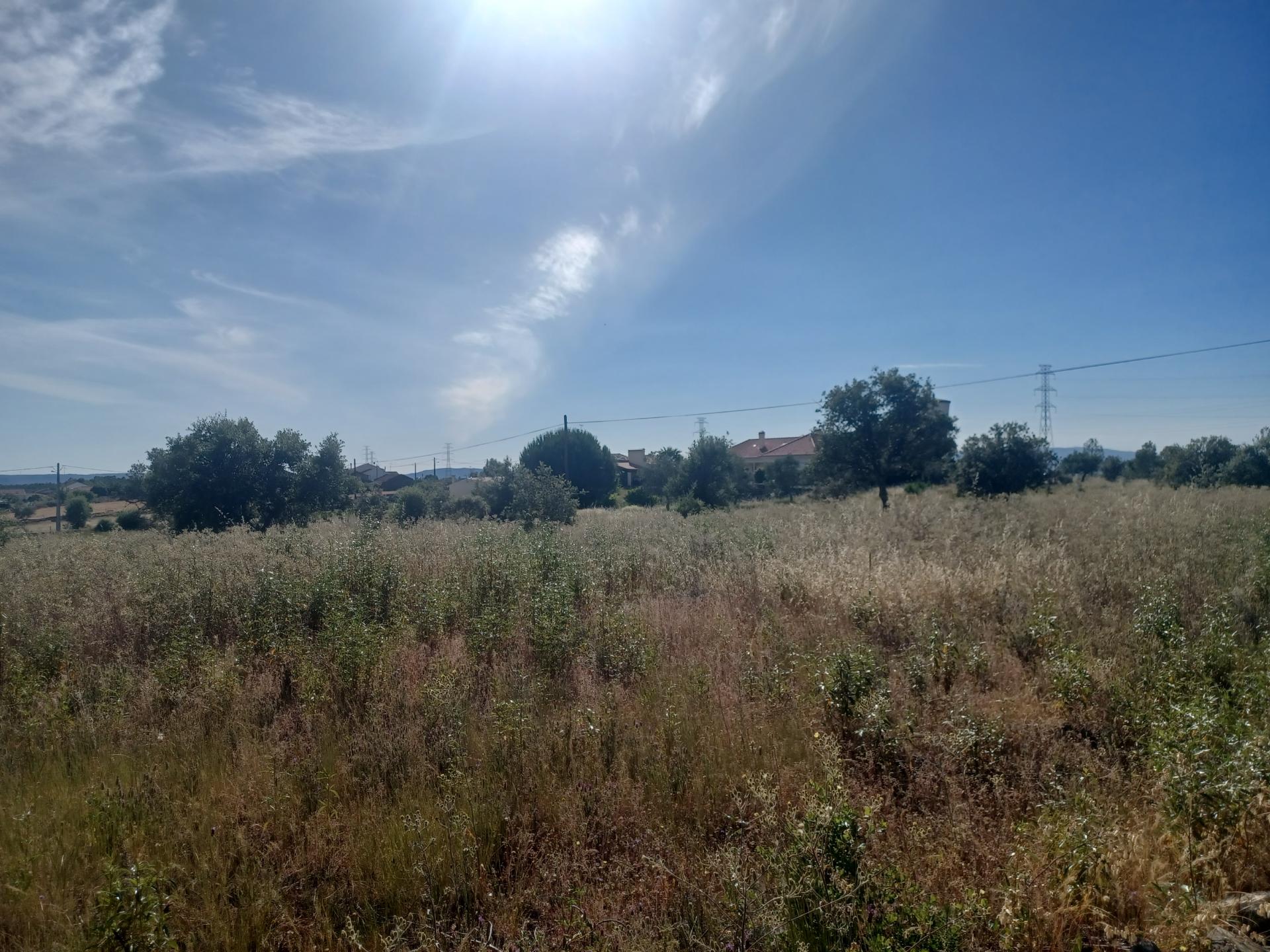 Terreno rústico com 8.160m2 em Sarnadas de Ródão