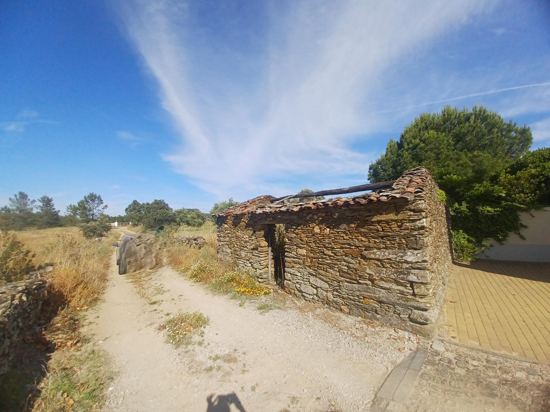Terreno rústico com 8.160m2 em Sarnadas de Ródão
