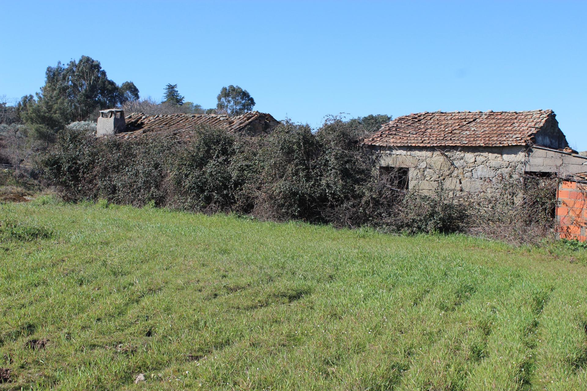Quinta para Venda em Aldeia do Bispo, Penamacor